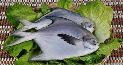 风湿不能吃什么 风湿不能吃什么