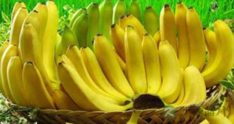 少女痛经吃什么好