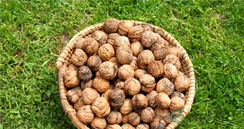 咽炎咳嗽食疗 咽炎咳嗽食疗