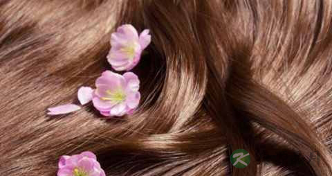 保养头发吃什么 保养头发吃什么