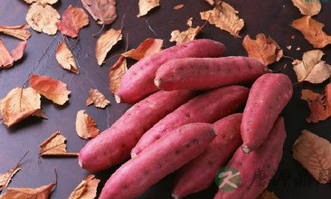 吃三种粗粮秋季最滋补