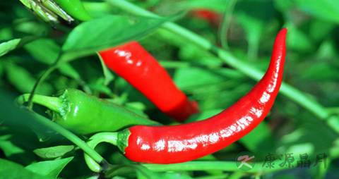 喉咙痛可以吃辣吗