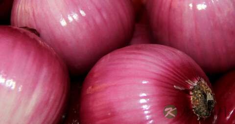 血脂高能吃面食吗 血脂高能吃面食吗