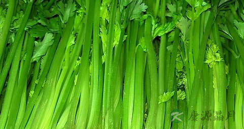 防脱发食物 防脱发食物