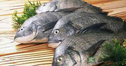 小孩吃什么增强抵抗力