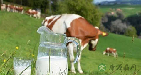 提升记忆力的食物 提升记忆力的食物