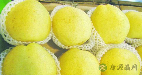 牙龈出血该吃什么 牙龈出血该吃什么