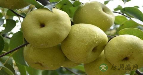 手指骨折吃什么药 手指骨折吃什么药