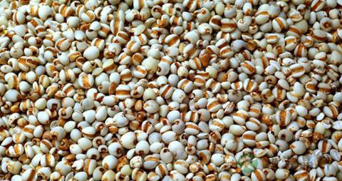 吃什么能去湿气 吃什么能去湿气