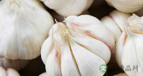 血脂稠吃什么油好 血脂稠吃什么油好