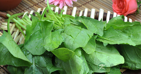 免疫力低吃什么