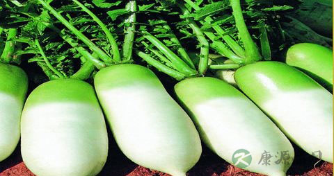 骨折后吃什么营养品