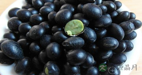 女性脂溢性脱发怎么办 女性脂溢性脱发怎么办