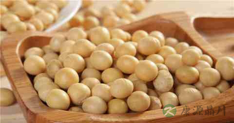 吃什么可以让头发浓密 吃什么可以让头发浓密