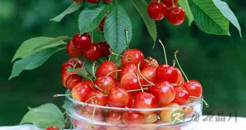 喉咙痛吃什么比较好