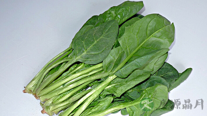 菠菜的营养功效与做法