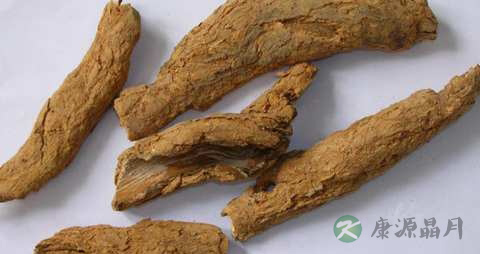 常用清热解毒中草药