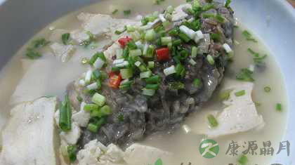 鲫鱼的五种美味做法