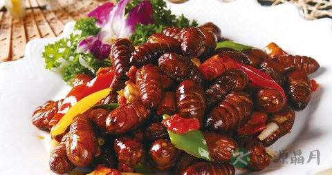 提高自身免疫力