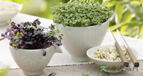 绿豆芽怎么发 绿豆芽怎么发