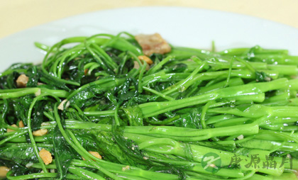 介绍通心菜的营养价值及功效