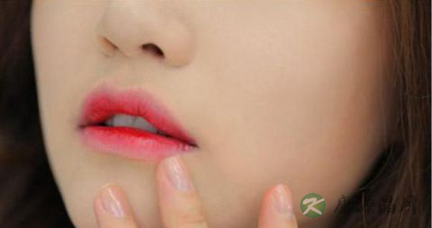 葡萄酒与食物的营养搭配