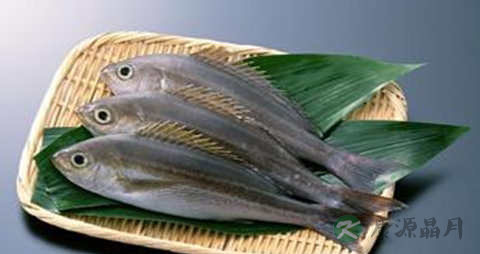 吃什么有助于记忆力 吃什么有助于记忆力