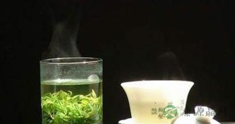 清热解毒的茶有哪些