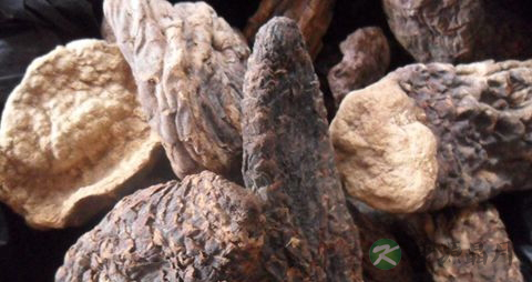 肉苁蓉壮阳效果