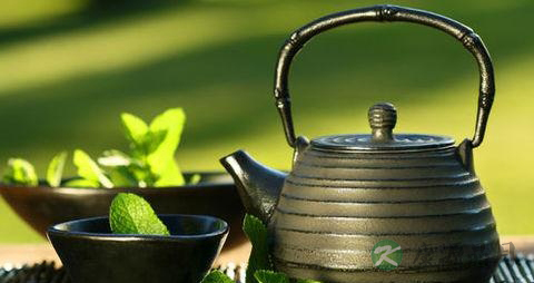 茶叶对人体有什么好处