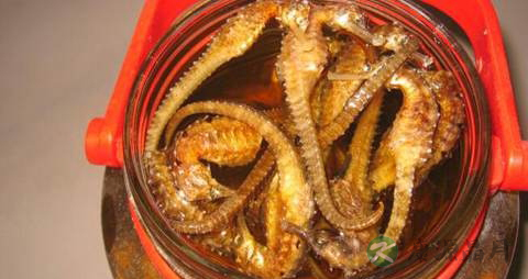 吃什么可以祛风