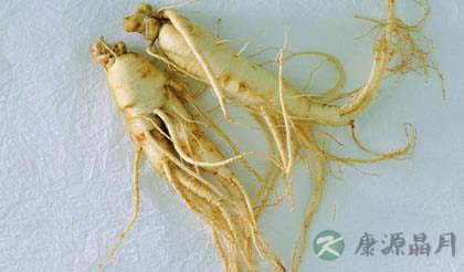 人参的功效作用大盘点