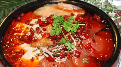 毛血旺是哪个地方的菜 毛血旺是哪个地方的菜