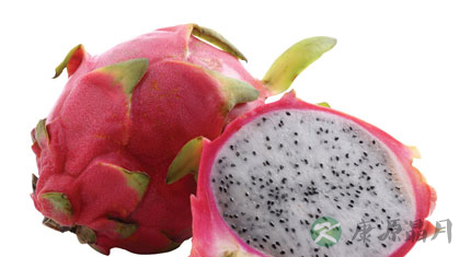 火龙果美味营养的吃法