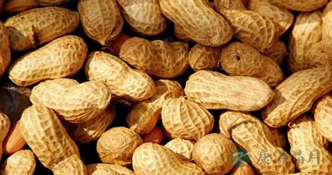 慢性咽炎能吃花生吗 慢性咽炎能吃花生吗