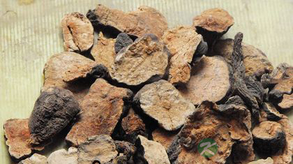 何首乌泡水喝的功效 何首乌泡水喝的功效