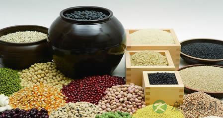 女人内分泌失调如何食疗 女人内分泌失调如何食疗