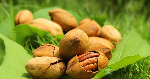 碧根果的食用指南