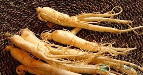 能增强免疫力的食物