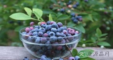 眼干吃点什么好