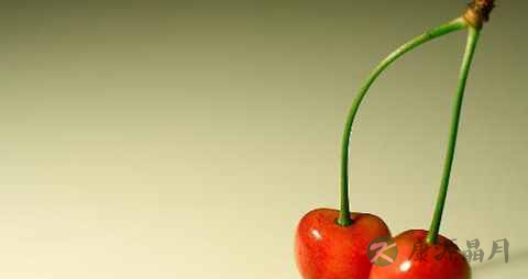 牙齿不好要吃什么