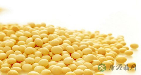 发育期的男孩吃什么 发育期的男孩吃什么