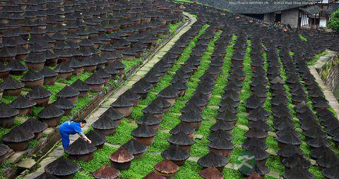 吃酱油会致癌吗 破除谣言浅谈酱油的好处
