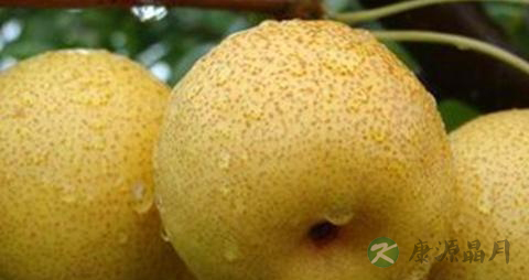 急性咽喉炎的食疗方法