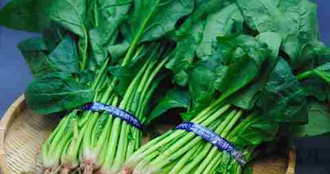 那些蔬菜清热解毒 那些蔬菜清热解毒