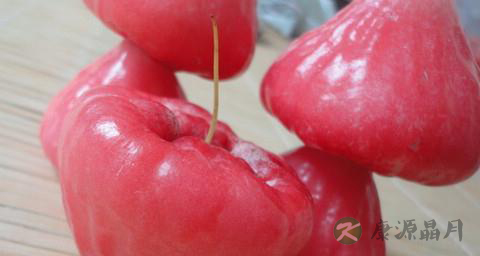 吃莲雾有什么好处