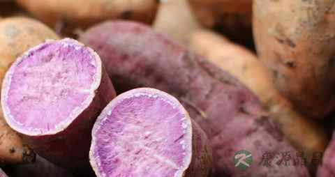 什么食物增强记忆力