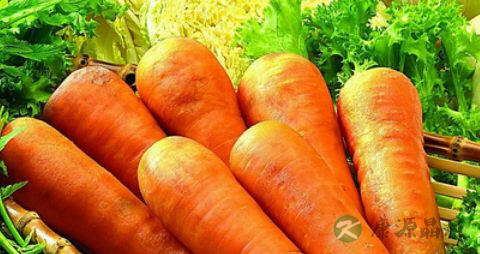 腹泻能吃什么蔬菜