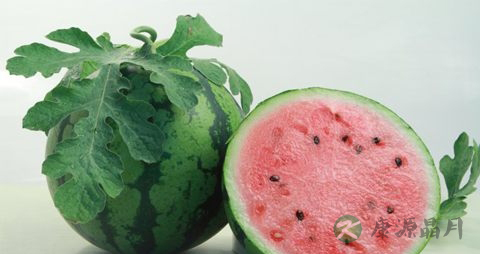 湿气重吃什么水果好