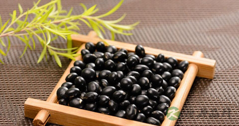 什么茶喝了通便